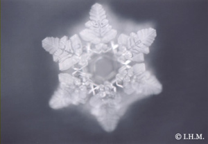 emoto_ijskristal_namaste_000